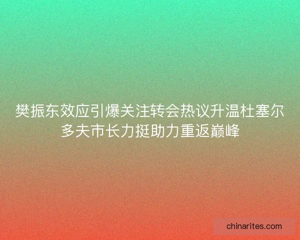 樊振东效应引爆关注转会热议升温杜塞尔多夫市长力挺助力重返巅峰