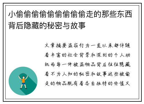 小偷偷偷偷偷偷偷偷偷走的那些东西背后隐藏的秘密与故事